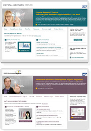 SAP website